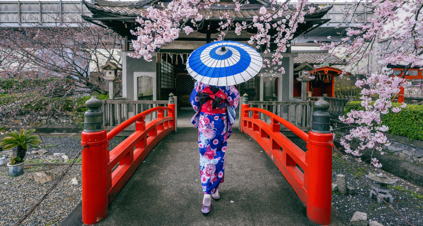 Визу в Японию в 2026 году будут давать по новым правилам: вот когда лучше подавать документы