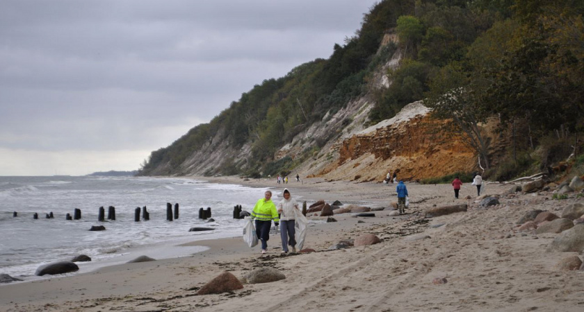 Стало известно сколько мусора вывезли с калининградских пляжей в 2025 году