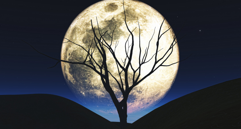 Голубая, Кровавая и суперлуния: когда будут полнолуния в 2026 году - главные ночи