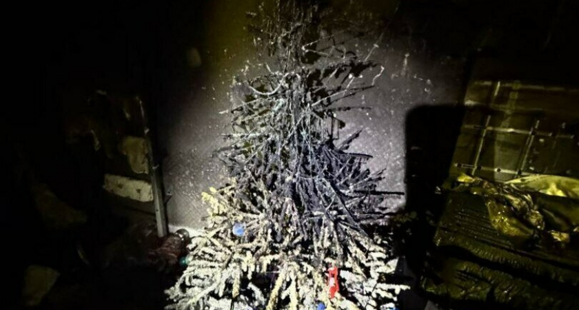 Мать надышалась дымом: медики рассказали подробности о пожаре в Светлом 