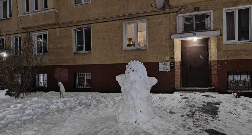 Мгновенно убрать все не получится, но штрафовать будем: губернатор Беспрозванных наказывает УК за плохую уборку снега