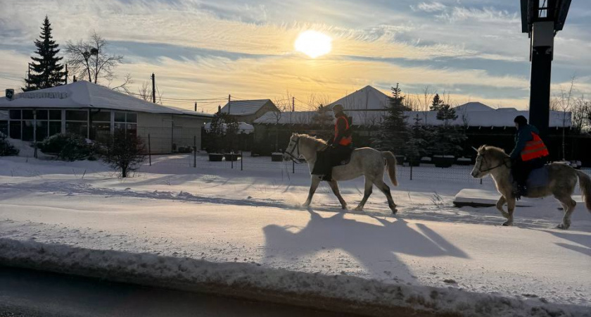 Январь идет на рекорд: когда в Калининграде ждать самых сильных морозов и снегопадов до -20 градусов