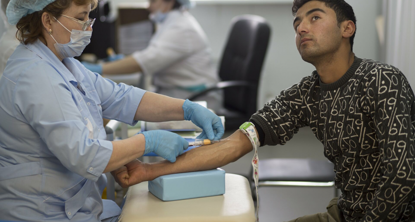 Уголовная ответственность за справки: срок прохождения врачей для мигрантов сократят в три раза в Калининграде