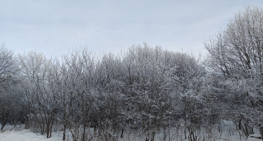 Арктический пик и снежные заряды: когда в начале следующей недели в области ожидается до -20 градусов