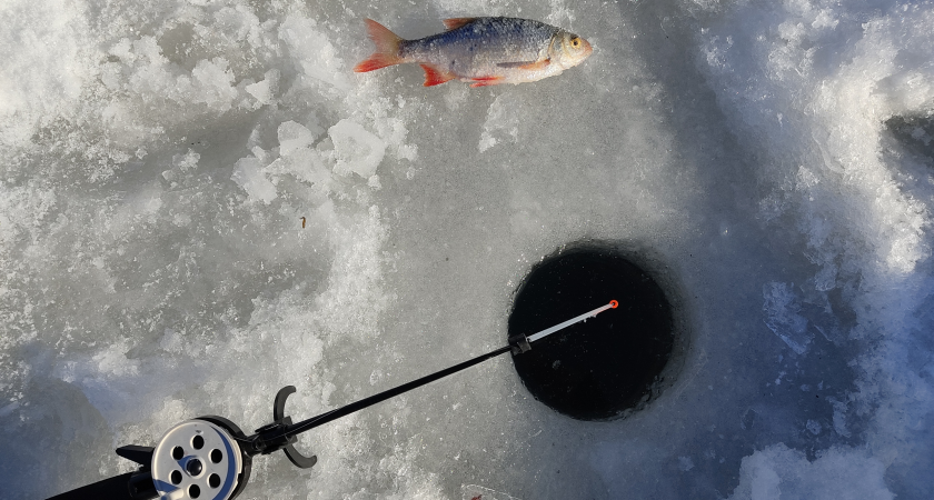 Трагедия на лове в Калининграде: на реке Прохладной во время рыбалки скоропостижно скончался 67-летний пенсионер 