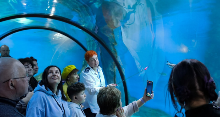 Очередь с восьми утра: калининградка поразилась штурму московских туристов «Планеты Океан»