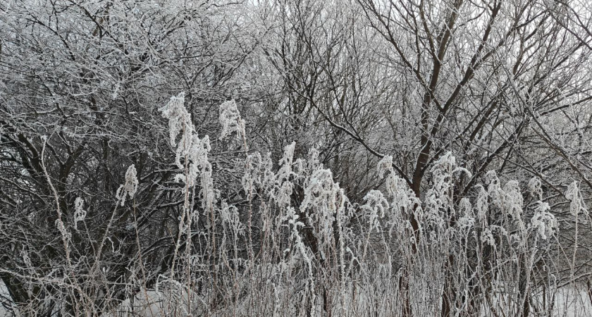 Снег продолжает атаковать: надвигаются новые заряды с моря, Калининград снова под ударом стихии