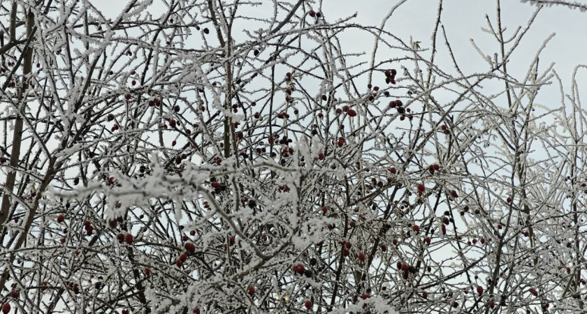 Снег, ветер и мороз: в воскресенье в Калининградской области резко испортится погода, особенно ближе к вечеру