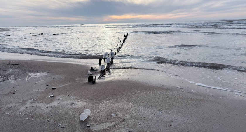 Снег вернётся без предупреждения: где 12 января в Калининградской области будет особенно холодно и снежно
