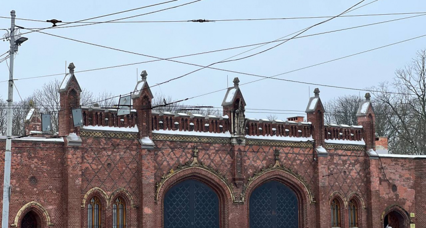 Калининградская область выстояла: почему туристы поехали на Балтику, когда юг начал терять гостей