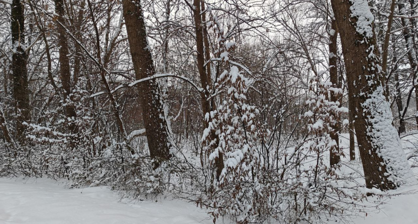 Калининградская область уходит в глухой минус: какой удар готовят морозы во вторник, 13 февраля