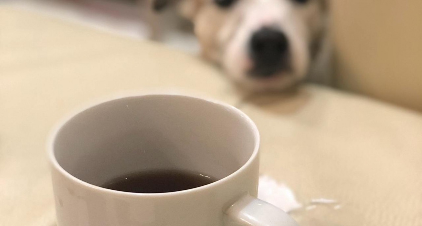 В Калининградскую область за новогодние праздники ввезли 15 тонн кофе