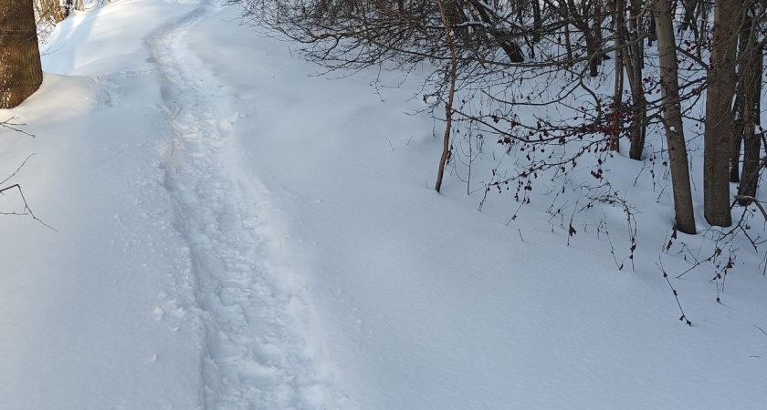 В Калининграде на уборку снега привлекли осужденных