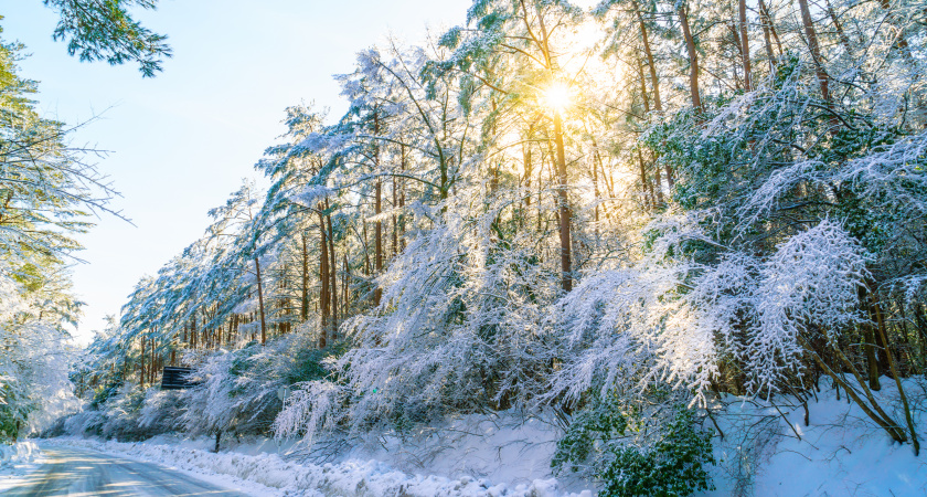 14 января: что нельзя делать и что стоит успеть — народные приметы Васильева дня