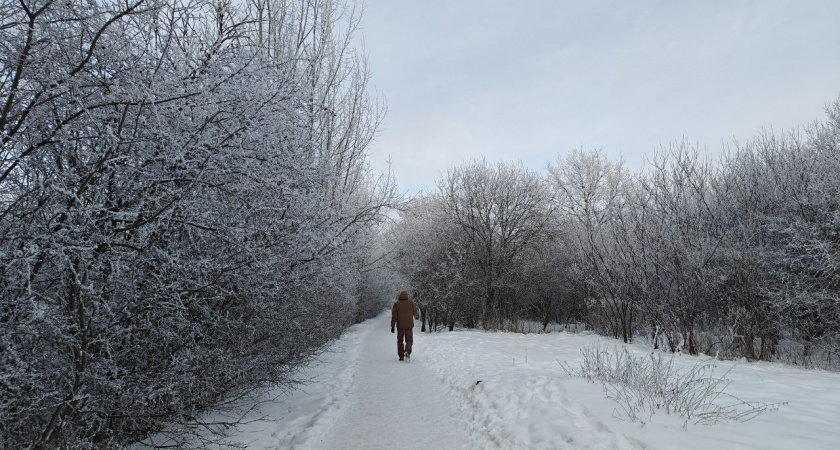 Желание лежать весь день и ничего не делать - это ваша душа просит о помощи: вот что об этом сказал Карл Юнг
