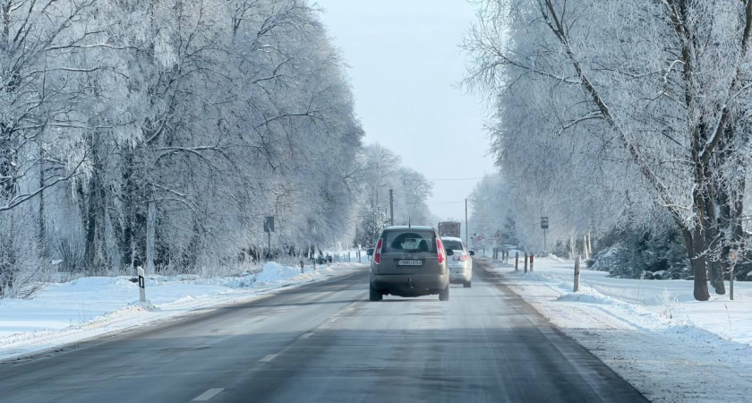 Погода устроит опасные качели: каких неприятностей ждать Калининградской области от атлантических циклонов в четверг