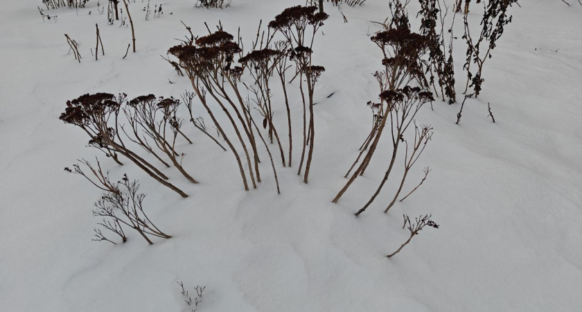 Погода разделит Калининградскую область на «лёд» и «оттепель»: какой погоды ждать в городах региона в четверг