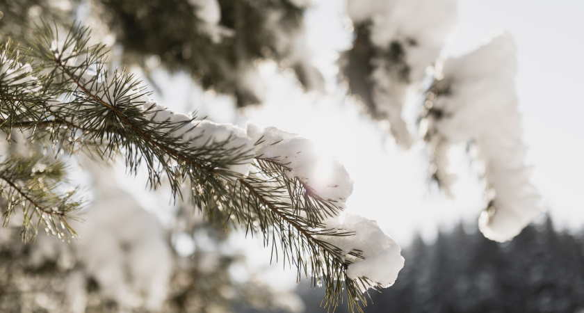Не растрачивай силы — береги уют: что делать сегодня по народным приметам 17 января