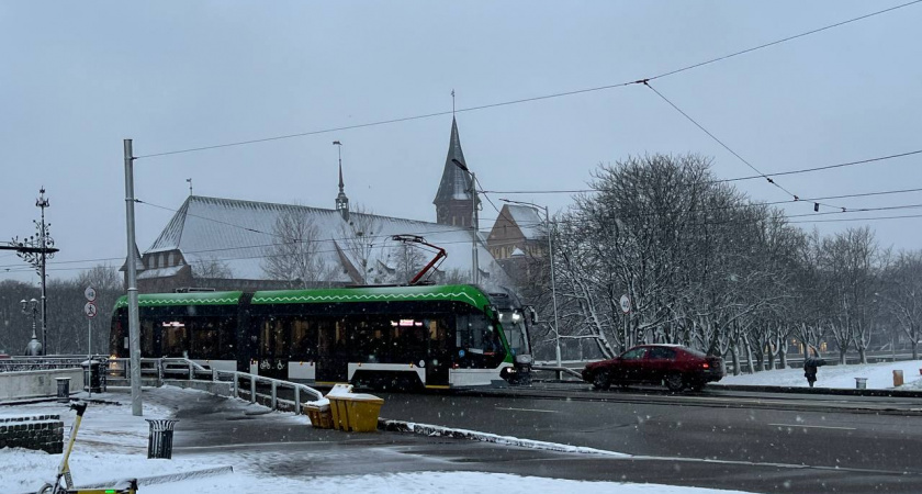 Калининград замерзает как никогда: январь 2026 превосходит 20-летние морозы