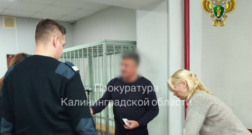 Фейковые дома и реальный срок: в Советске осудили народного избранника за кражу 60 соток земли