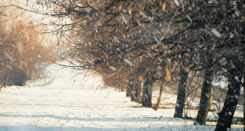 Холодный капкан: Калининградская область окажется под влиянием арктических воздушных масс