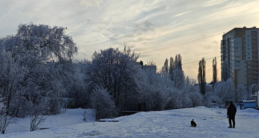 Утро начнется с неожиданности: какие коварства погоды ждут калининградцев и туристов во вторник