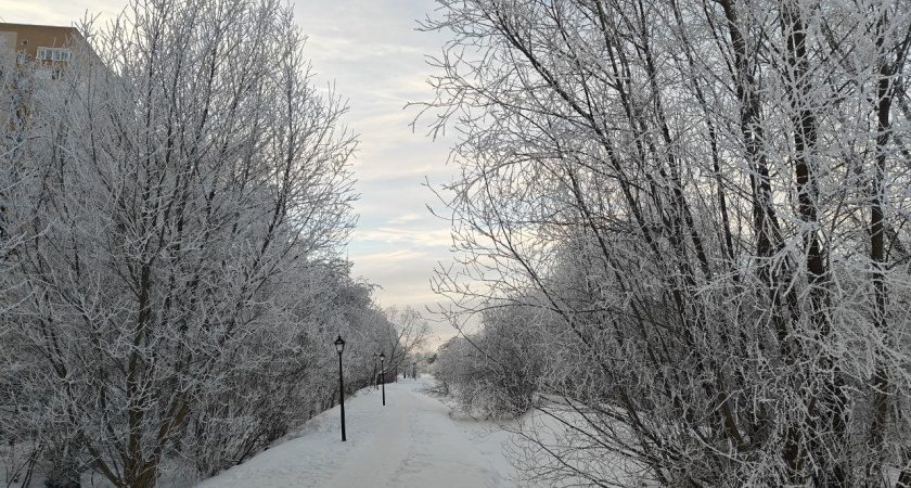 Калининградская область под морозным куполом: какой погоды ждать в городах области во вторник
