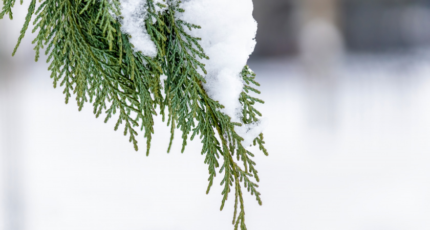 Не спеши, почини вещи: что нельзя делать 20 января по народным приметам - этим запретам следовали издревле