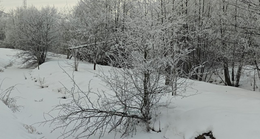 Калининградская область у края сибирского холода: январь готовит новый морозный удар