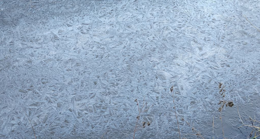 Калининградская область подо льдом: где может подвести, а где уже промерзло до 20 см