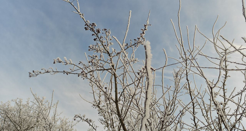 Морозный шторм: какой будет погода в Калининграде и городах области в среду 