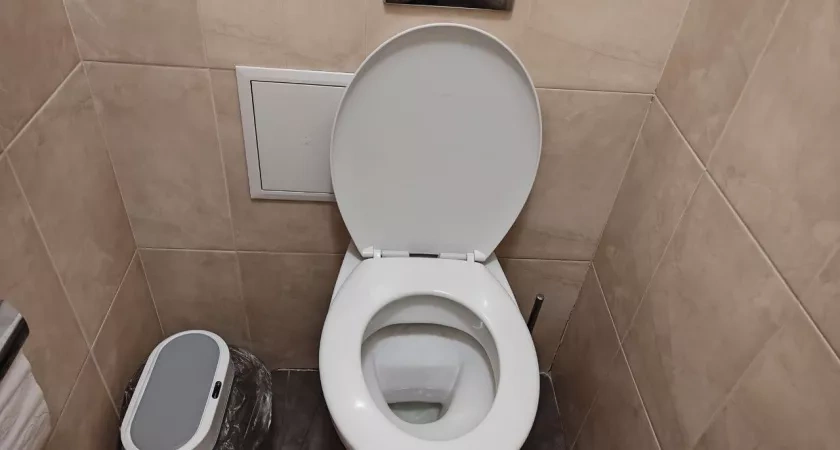 1 шт. на 0,3 л. – и унитаз не узнать: ни известкового налета, ни ржавчины – белее подснежников еще и пахнет вкусно