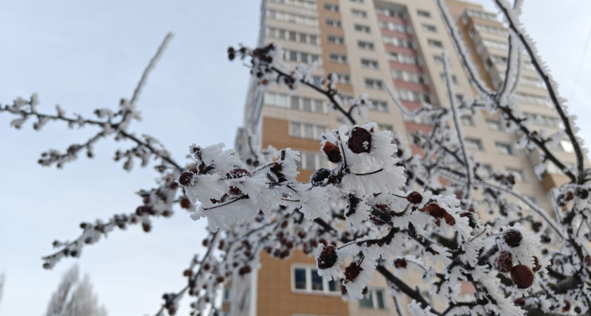В Калининградской области зима меняет тактику: что случится с погодой к выходным и почему синоптики упоминают -35°C