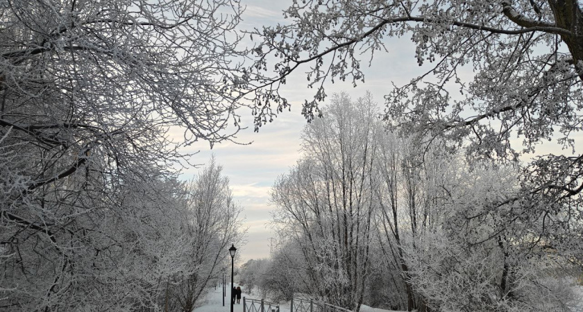 Потеплеет ли в Калининградской области к концу января: синоптики рассказали чего ждать от погоды
