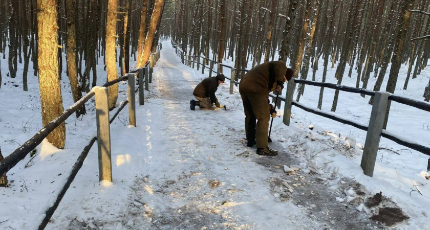 Куршская коса уходит под снег: туристам закрыли популярные маршруты