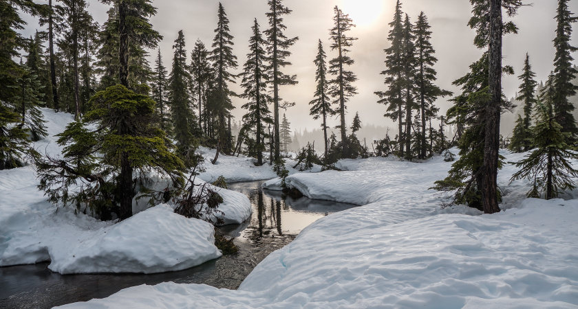Не спеши и не обещай лишнего: народные приметы и запреты на 22 января, Филиппов день