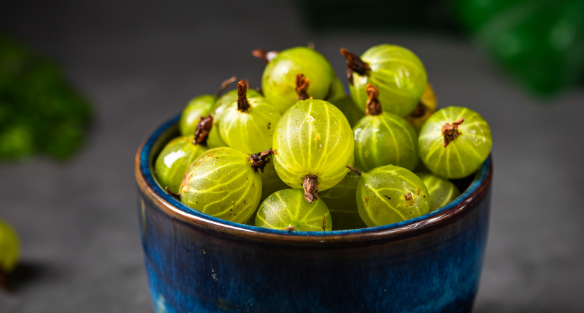 Две ложки под куст – и смородина крупнее сливы: ягоды слаще меда, ведер не хватит все собрать