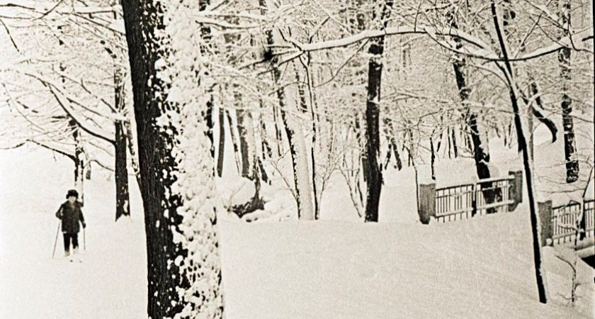 Калининградская погодная история: когда и каким был самый холодный январь за всю историю региона