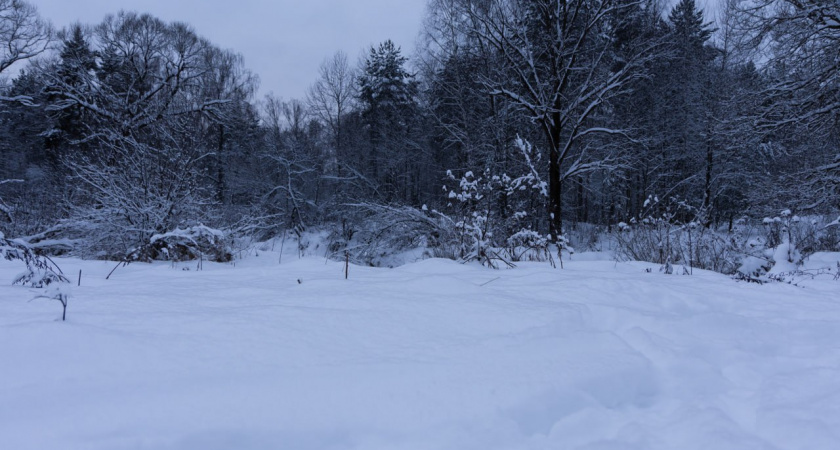 Калининградская область в плену зимы: чем погода удивит в выходные