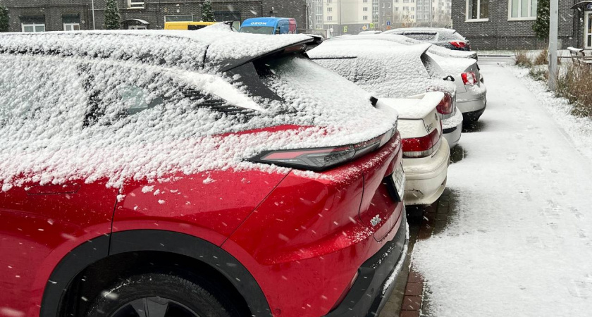 В автосервисе рассказали, как завести дизельный двигатель даже в лютый мороз: работает в 100 из 100