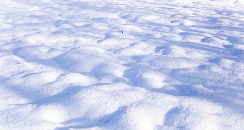 Погодный раскол: Калининград замер в ожидании между оттепелью и арктическими морозами на начало февраля