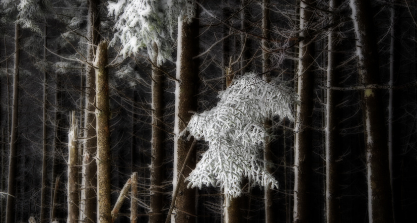 Не ссорься и береги тепло: народные приметы и запреты на 26 января — Ермилов день