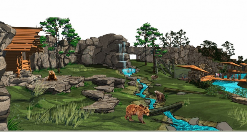 Калининградский зоопарк запланировал «медвежий парк»: как будет выглядеть мегапроект