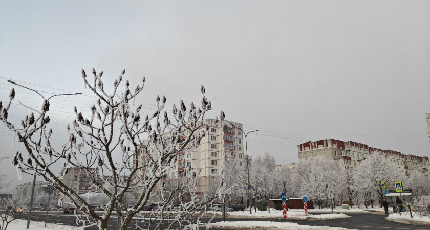 Калининградская область под ледяным куполом: синоптики пообещали тяжелый климатический разворот - к чему готовиться