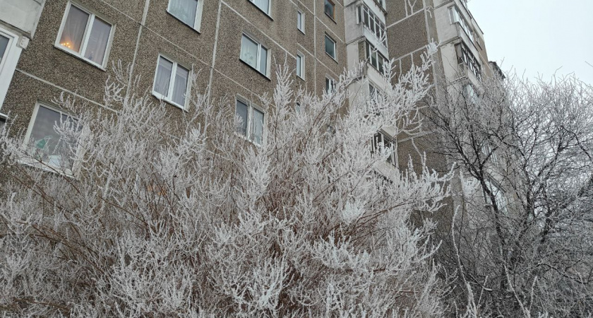 Калининградская область под угрозой морозов до –15°C: синоптики говорят об ударе арктического холода