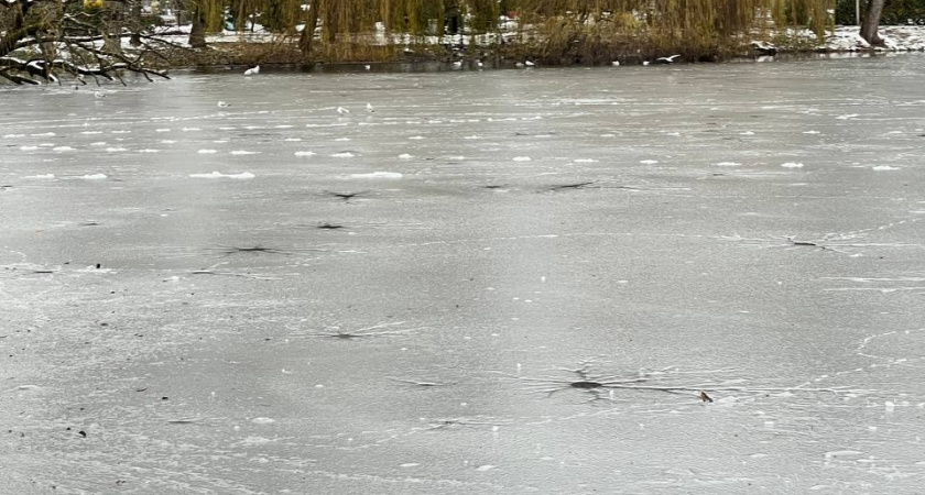 В Калининграде трое школьников попали в ловушку на тонком льду - мальчишек вызволяли спасатели