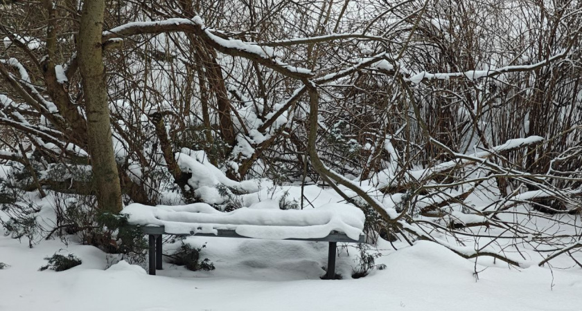 Калининградская зима ударила всерьёз: куда обращаться, если на улице человек без помощи - адреса пунктов обогрева