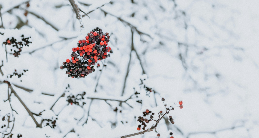 Не разбрасывай еду, но планируй будущее: приметы и запреты 29 января