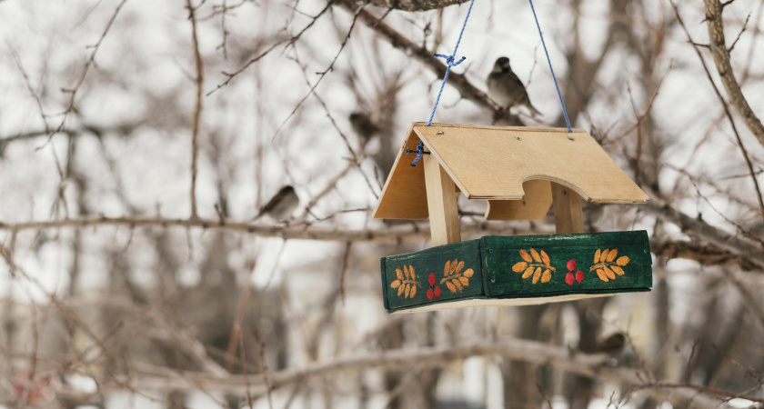 Не делай этих ошибок 30 января: советы предков и полезные приметы
