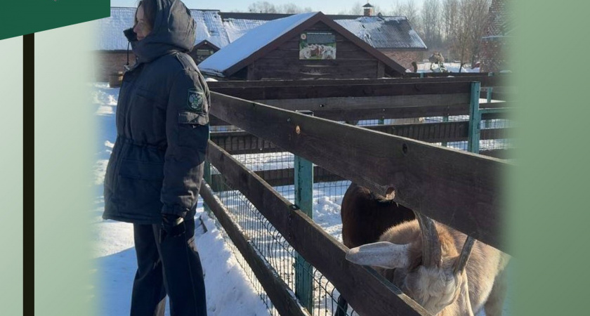 Калининградский Россельхознадзор нашел нарушения в зоопарке "Подворья на Хутрорской" в Гурьевском районе